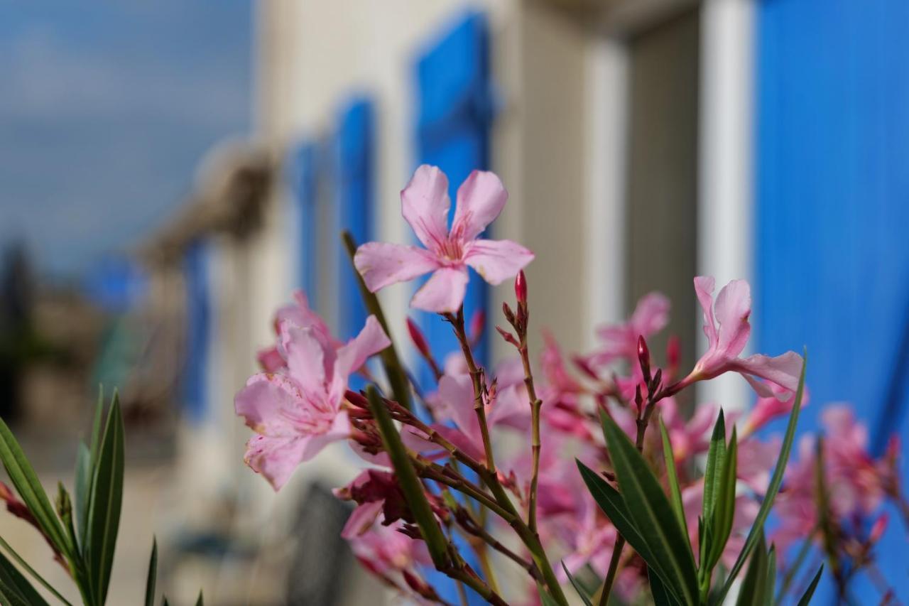 Bed and Breakfast Moulin De Mauzac Saint-Just-Luzac Экстерьер фото